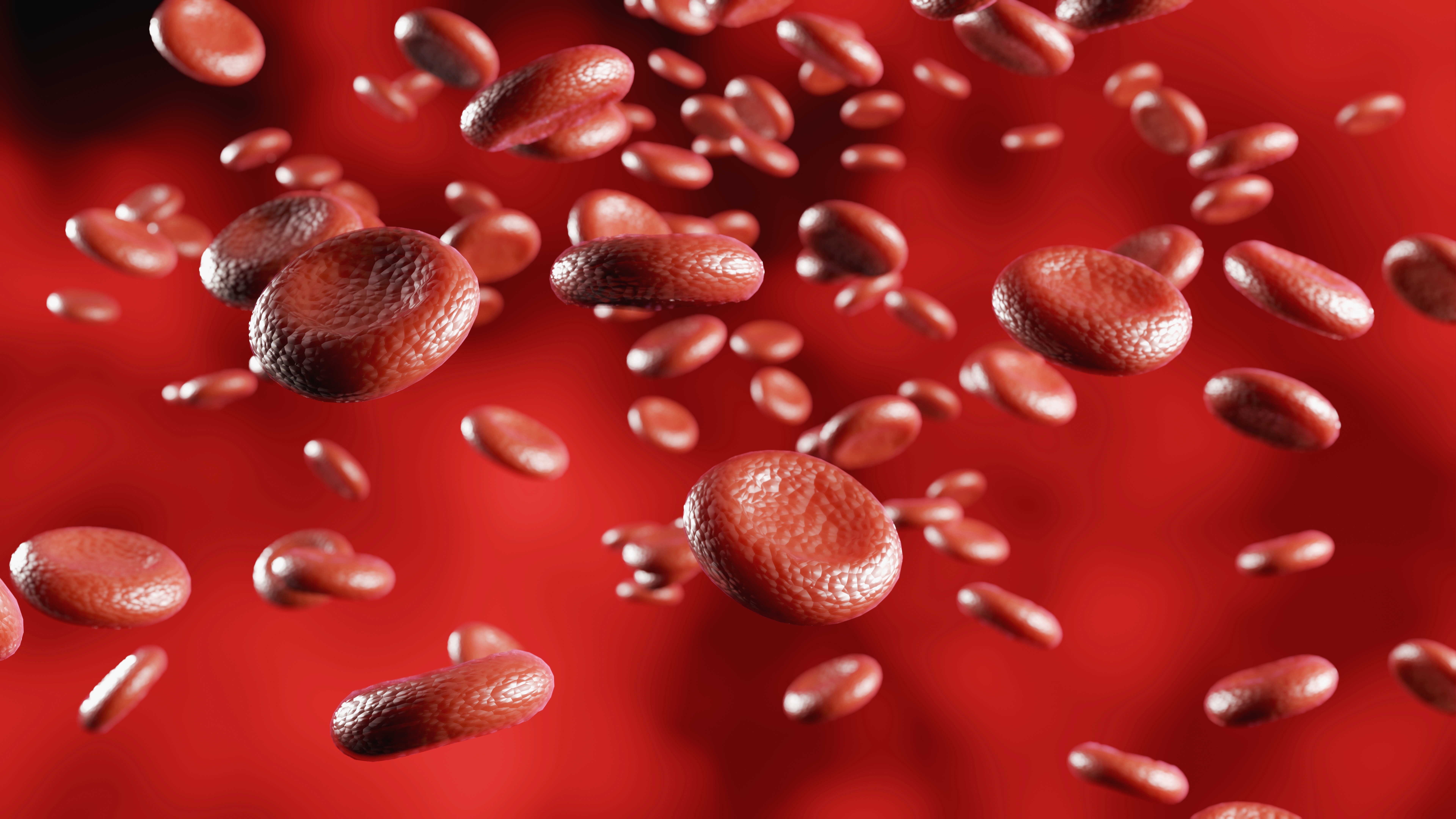 blood cells Moving flow, Hemoglobin Cells in vein, 3D rendering
